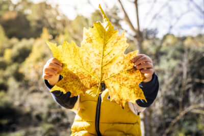 Spielen im Wald – Herbst/Winter