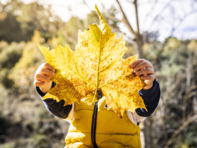 Spielen im Wald – Herbst/Winter