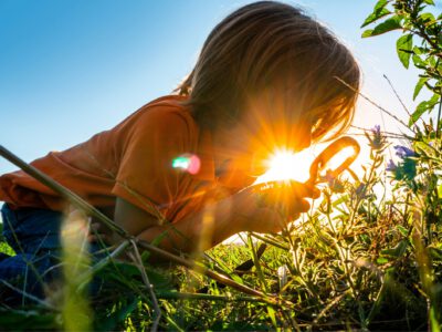 Forscherwerkstatt Wald – MINT Abenteuer in der Natur