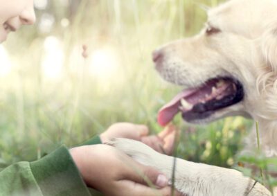 Tiergestütztes Arbeiten mit Kindern