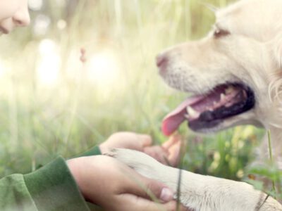 Tiergestütztes Arbeiten mit Kindern