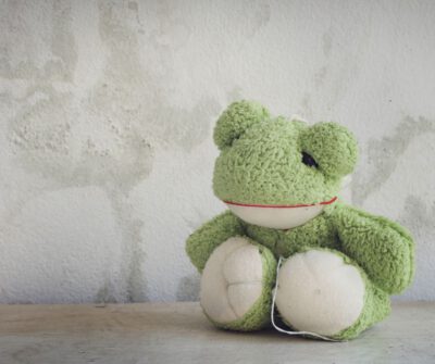 Leise Not- "Nicht gesehen, nicht gehört!"- Überangepasste Kinder und ihre seelische Gesundheit in der Kita (ONLINE)