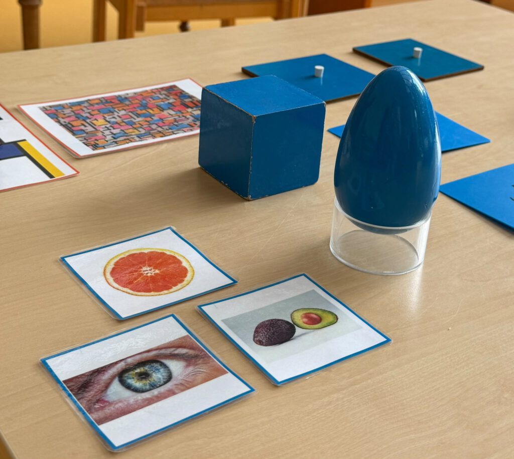 Vom Begreifen zum Verstehen- Die Bedeutung der Sinne in der Montessori Pädagogik
