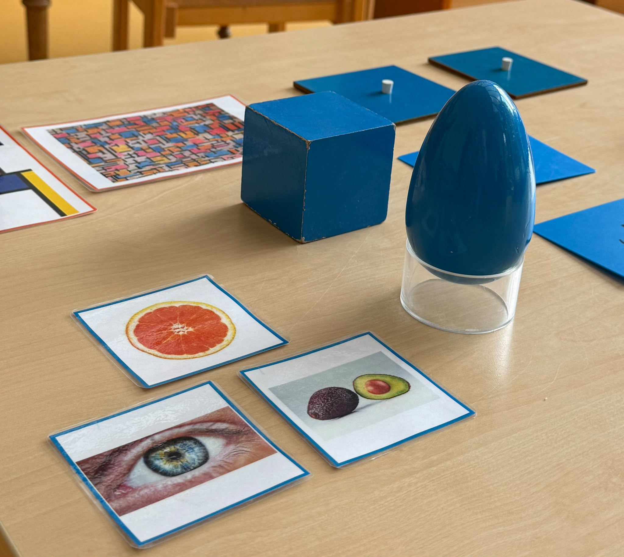 Vom Begreifen zum Verstehen- Die Bedeutung der Sinne in der Montessori Pädagogik